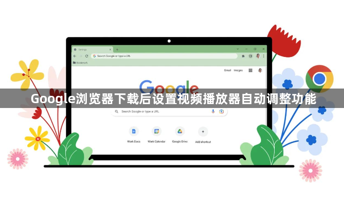Google浏览器下载后设置视频播放器自动调整功能1