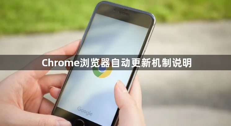 Chrome浏览器自动更新机制说明1