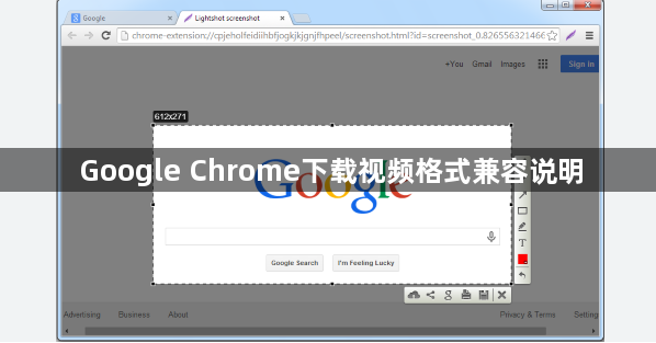 Google Chrome下载视频格式兼容说明1