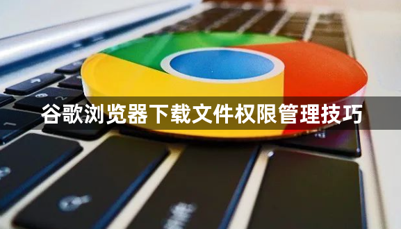 谷歌浏览器下载文件权限管理技巧1