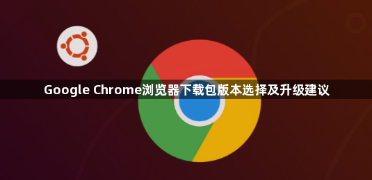 Google Chrome浏览器下载包版本选择及升级建议1