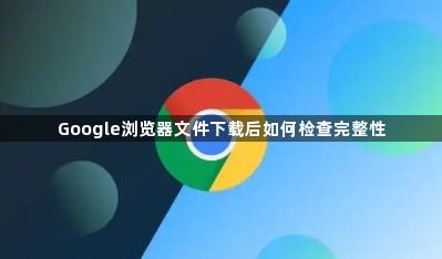 Google浏览器文件下载后如何检查完整性1