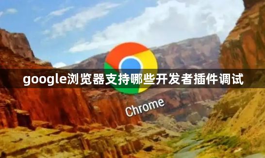 google浏览器支持哪些开发者插件调试1