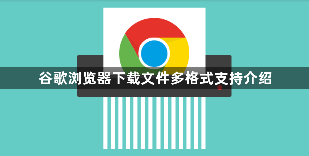谷歌浏览器下载文件多格式支持介绍1