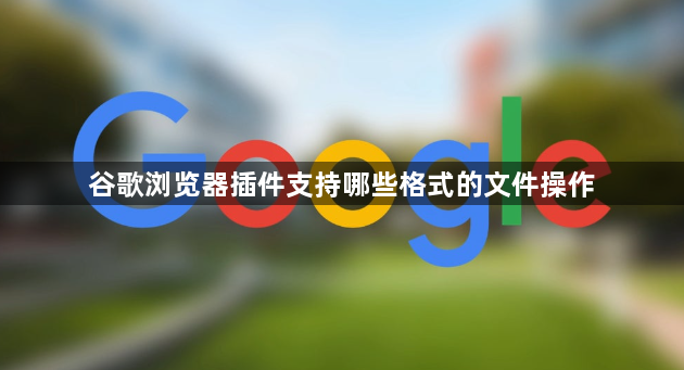 谷歌浏览器插件支持哪些格式的文件操作1