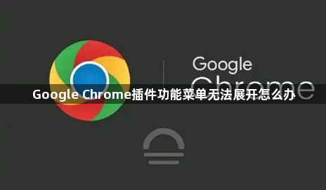 Google Chrome插件功能菜单无法展开怎么办1
