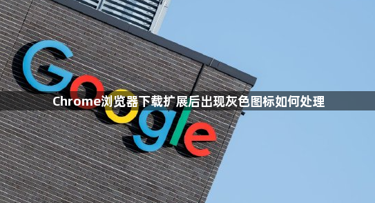 Chrome浏览器下载扩展后出现灰色图标如何处理1
