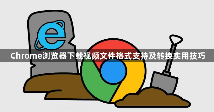 Chrome浏览器下载视频文件格式支持及转换实用技巧1