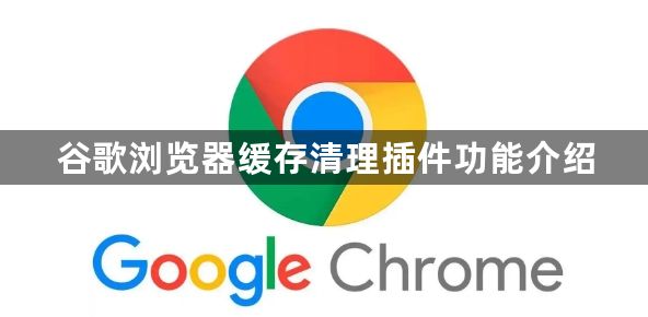 谷歌浏览器缓存清理插件功能介绍1