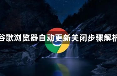 谷歌浏览器自动更新关闭步骤解析1