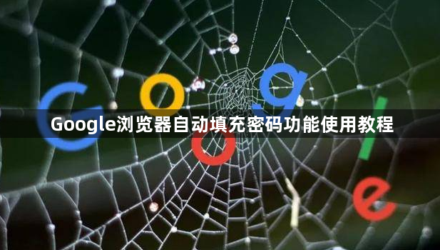 Google浏览器自动填充密码功能使用教程1