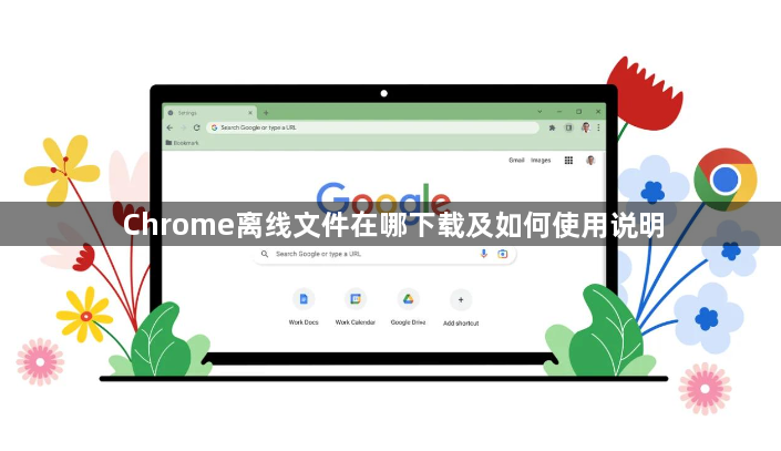 Chrome离线文件在哪下载及如何使用说明1