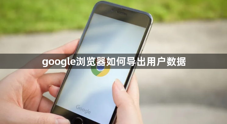 google浏览器如何导出用户数据1