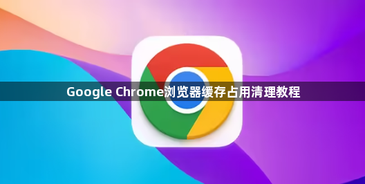 Google Chrome浏览器缓存占用清理教程1
