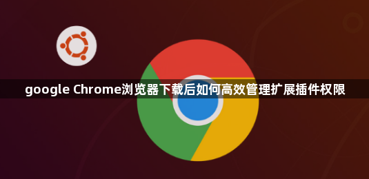 google Chrome浏览器下载后如何高效管理扩展插件权限1