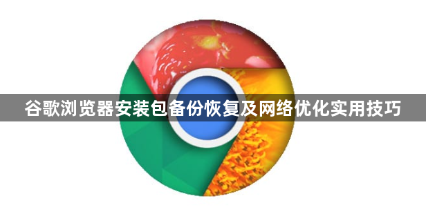 谷歌浏览器安装包备份恢复及网络优化实用技巧1
