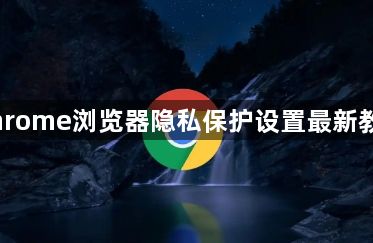 Chrome浏览器隐私保护设置最新教程1