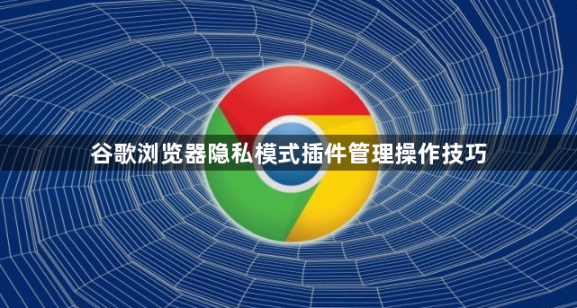 谷歌浏览器隐私模式插件管理操作技巧1