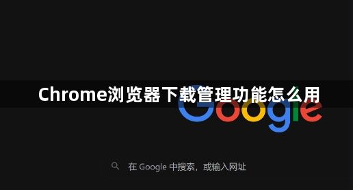 Chrome浏览器下载管理功能怎么用1