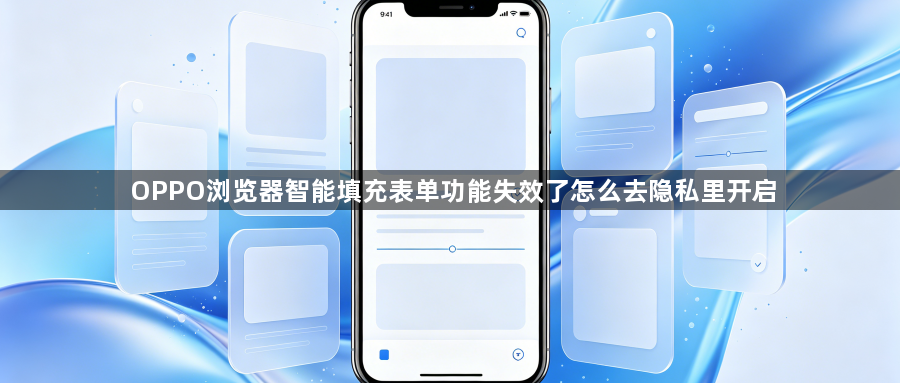 OPPO浏览器智能填充表单功能失效了怎么去隐私里开启1