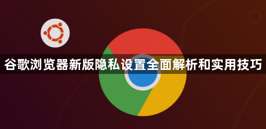 谷歌浏览器新版隐私设置全面解析和实用技巧1