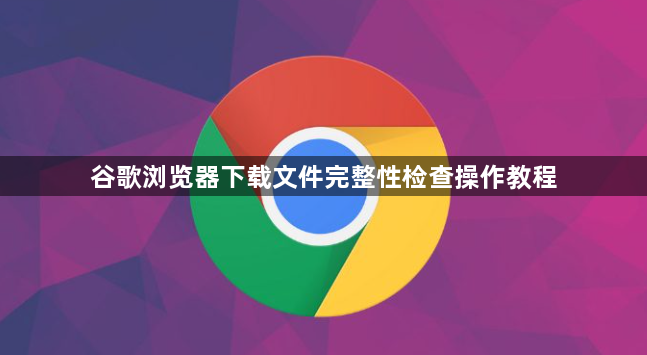谷歌浏览器下载文件完整性检查操作教程1