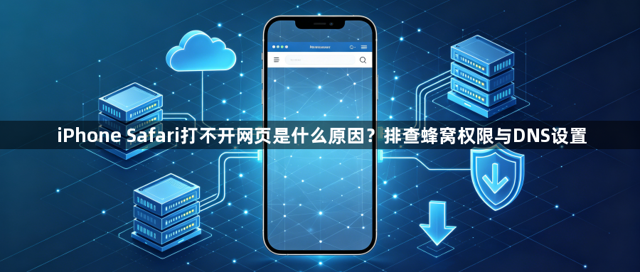 iPhone Safari打不开网页是什么原因?排查蜂窝权限与DNS设置1